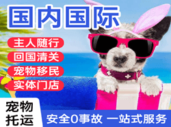 乌兰浩特义勒力特航空物流国际宠物托运 【国